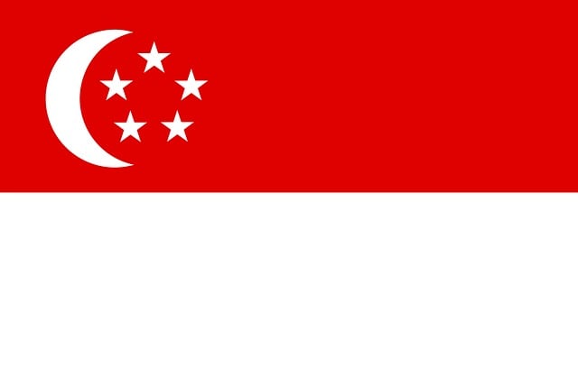 International Payment Singapore for srklee.com