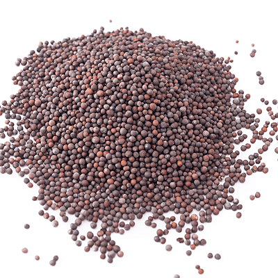 Raaja Masala - Kali Sarson (Black Mustard)